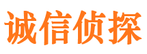 息县市侦探公司